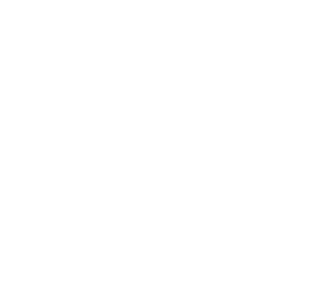 Apollo Door Systems Logo